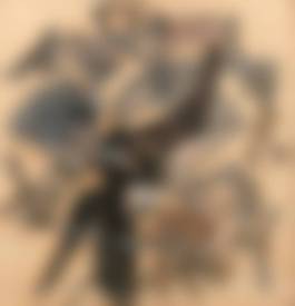auction-image