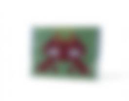 auction-image