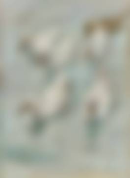 auction-image