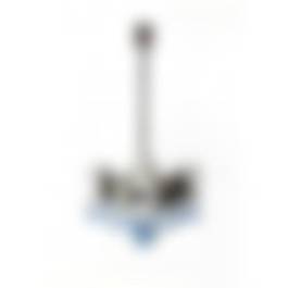 auction-image