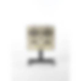 auction-image