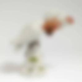 auction-image