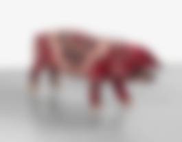 auction-image