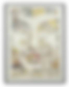 auction-image