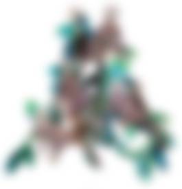 auction-image