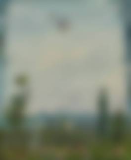 auction-image