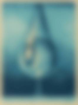 auction-image