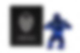 auction-image