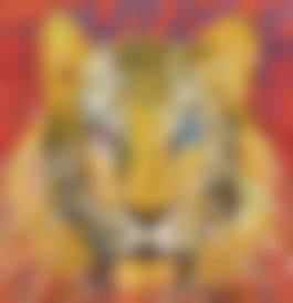 auction-image