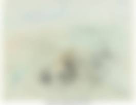 auction-image