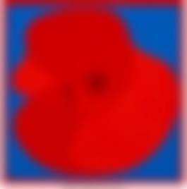 auction-image