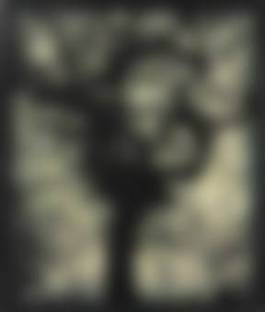 auction-image