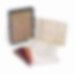 auction-image
