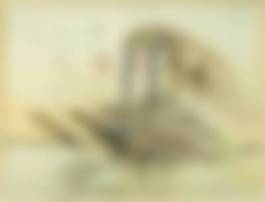 auction-image