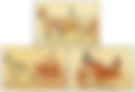 auction-image