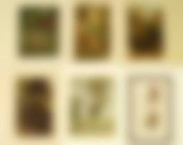 auction-image