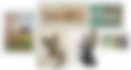 auction-image