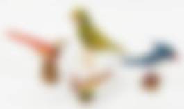 auction-image