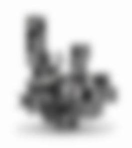 auction-image