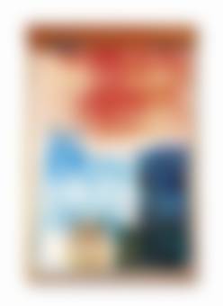 auction-image