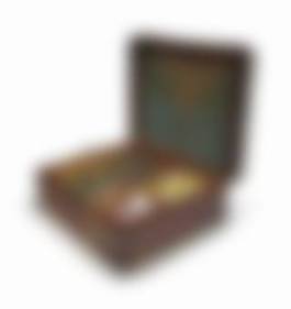 auction-image