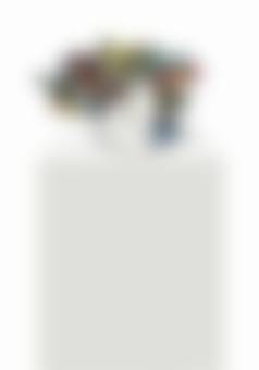 auction-image