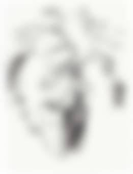 auction-image