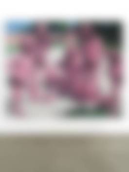 auction-image