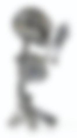 auction-image