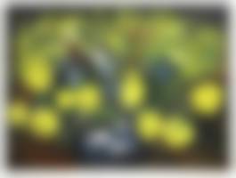 auction-image
