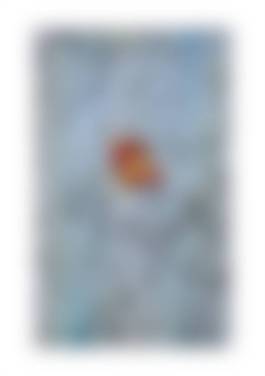 auction-image