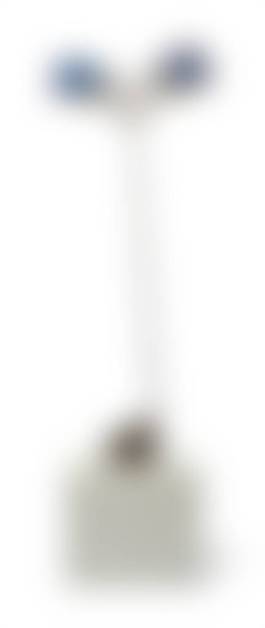 auction-image