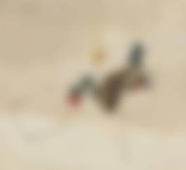 auction-image