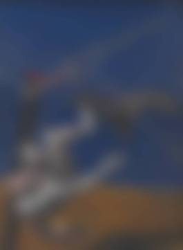 auction-image