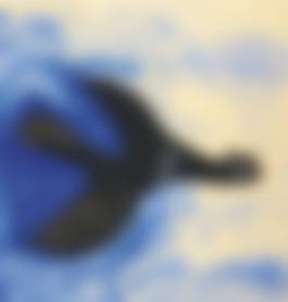 auction-image