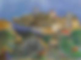 auction-image