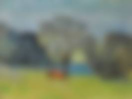 auction-image