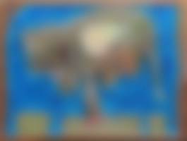 auction-image