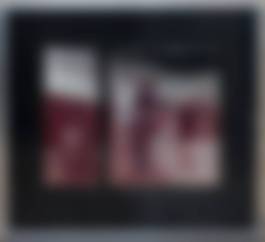 auction-image