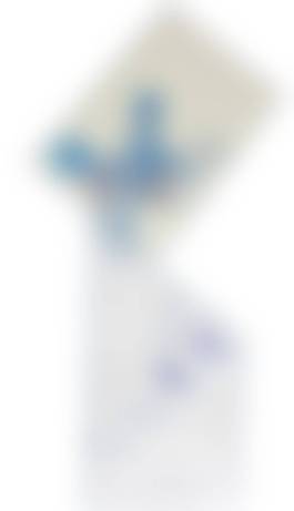 auction-image
