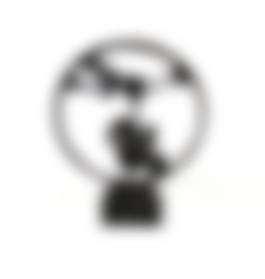 auction-image