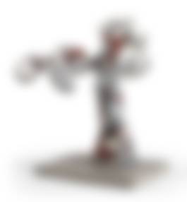 auction-image