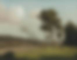 auction-image