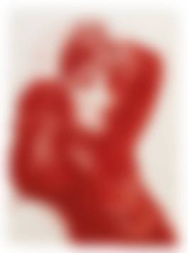 auction-image