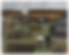 auction-image