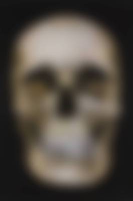 auction-image