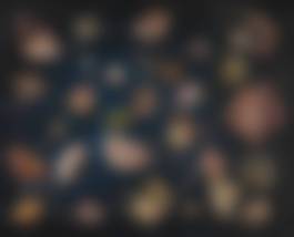 auction-image