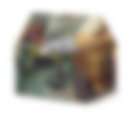 auction-image