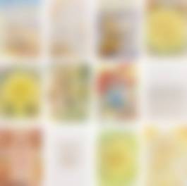 auction-image
