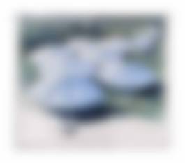 auction-image